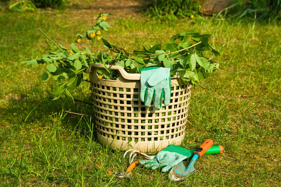 dechets-verts-jardin